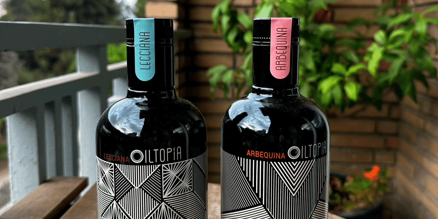 Aceite Arbequina en repostería: el secreto más dulce del aceite de oliva virgen extra