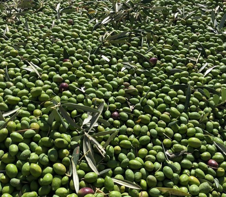 Preparados, listos..¡espera!
