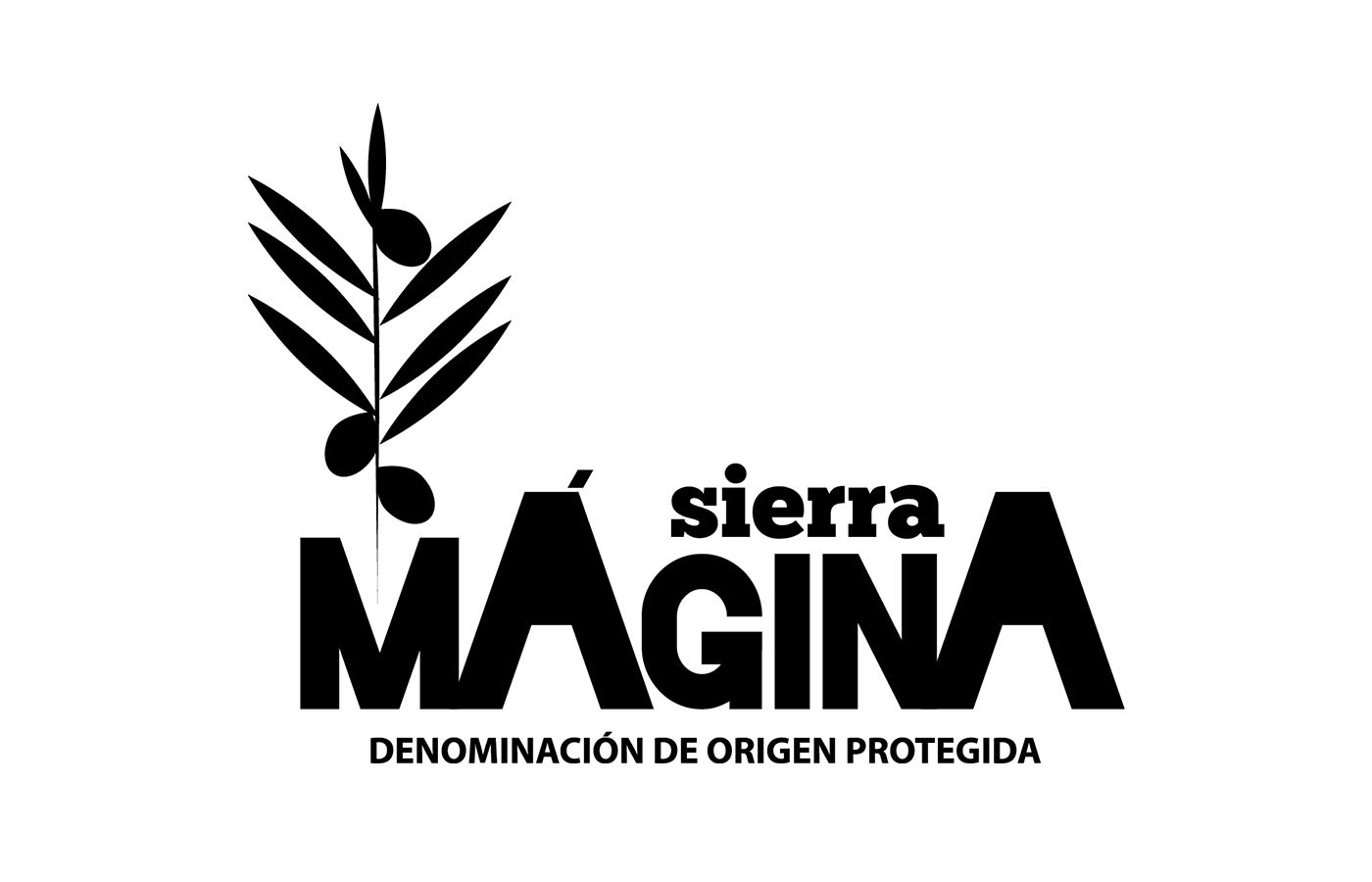 Aceites D.O.P. Sierra Mágina - Molino y Cata